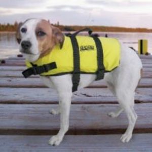 Stearns Pet Life Jacket